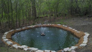 Services - small pond construction